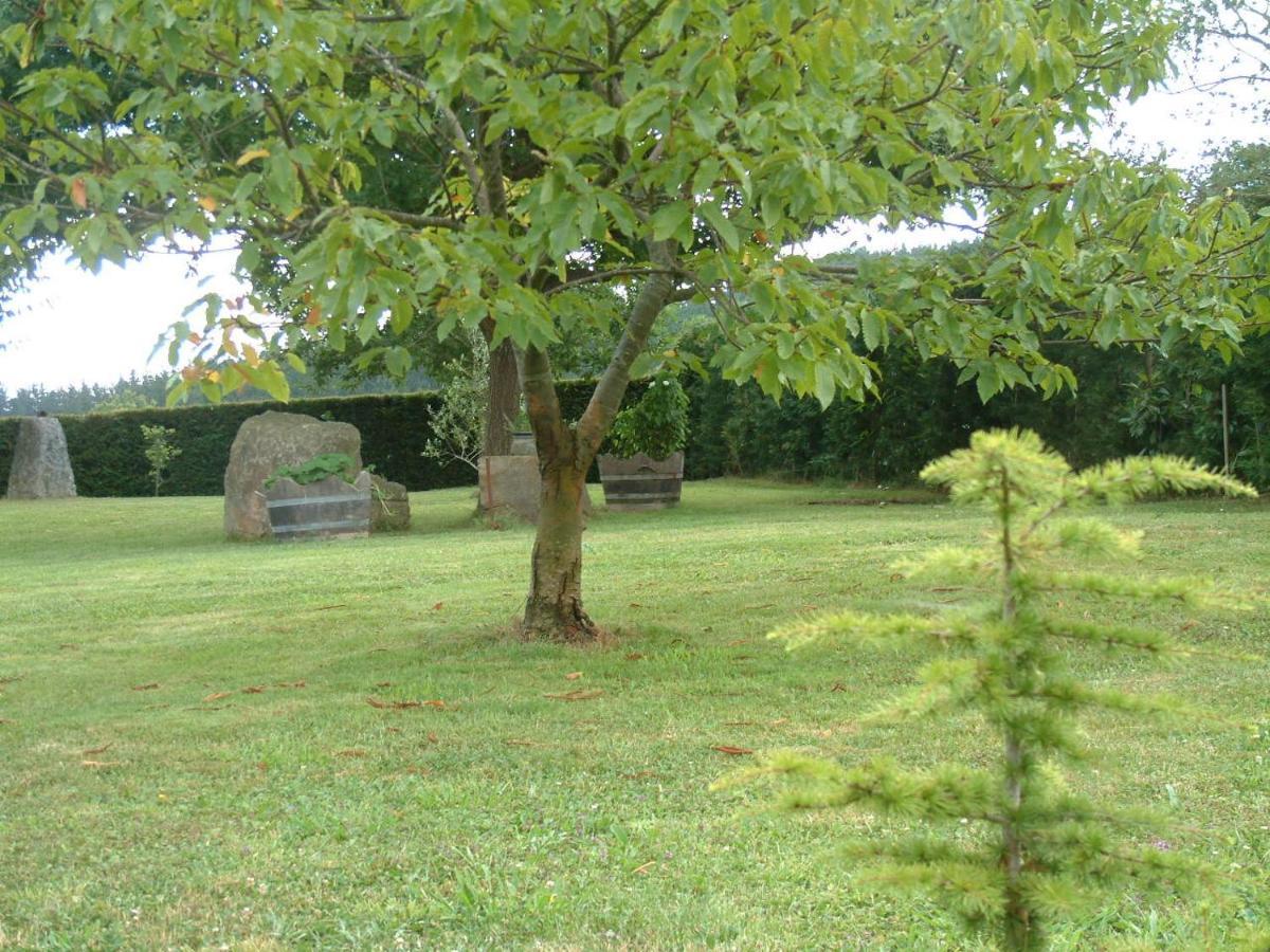 Albergue Eskerika Exclusivo Peregrinos Esquerica Екстер'єр фото